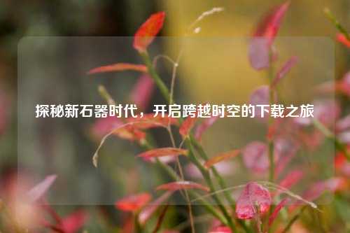 探秘新石器时代,开启跨越时空的下载之旅