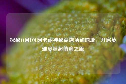 探秘11月LOL阿卡丽神秘商店活动地址,开启英雄皮肤超值购之旅