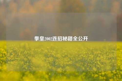 拳皇2002连招秘籍全公开