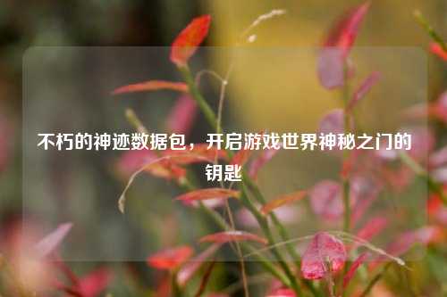 不朽的神迹数据包,开启游戏世界神秘之门的钥匙