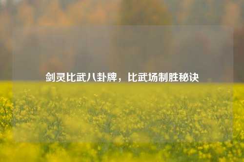 剑灵比武八卦牌,比武场制胜秘诀