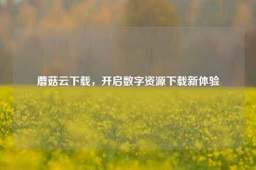 蘑菇云下载，开启数字资源下载新体验