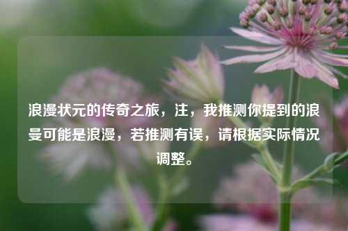 浪漫状元的传奇之旅,注,我推测你提到的浪曼可能是浪漫,若推测有误,请根据实际情况调整。