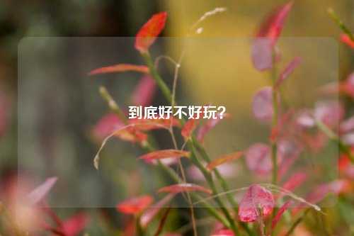 到底好不好玩?