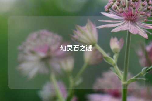 幻灵石之谜