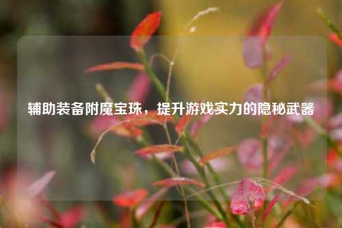 辅助装备附魔宝珠,提升游戏实力的隐秘武器