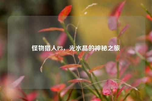 怪物猎人P3,光水晶的神秘之旅