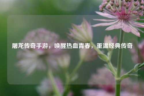 屠龙传奇手游，唤醒热血青春，重温经典传奇