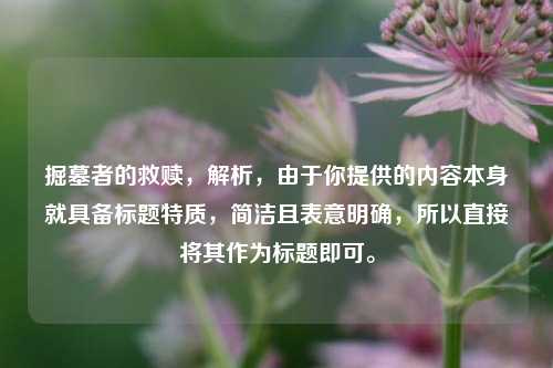 掘墓者的救赎,解析,由于你提供的内容本身就具备标题特质,简洁且表意明确,所以直接将其作为标题即可。