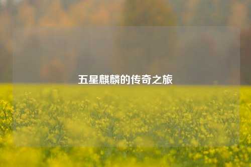 五星麒麟的传奇之旅