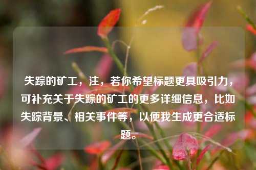 失踪的矿工，注，若你希望标题更具吸引力，可补充关于失踪的矿工的更多详细信息，比如失踪背景、相关事件等，以便我生成更合适标题。