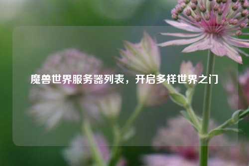 魔兽世界服务器列表,开启多样世界之门