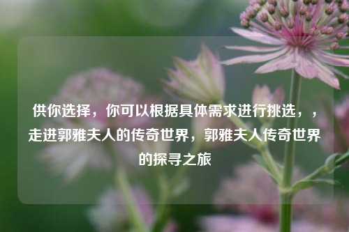 供你选择,你可以根据具体需求进行挑选,,走进郭雅夫人的传奇世界,郭雅夫人传奇世界的探寻之旅