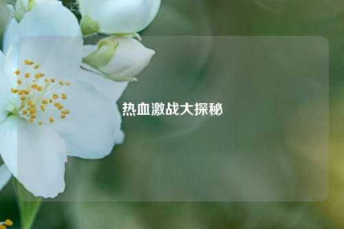 热血激战大探秘