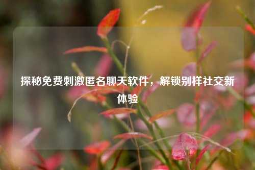 探秘免费刺激匿名聊天软件，解锁别样社交新体验