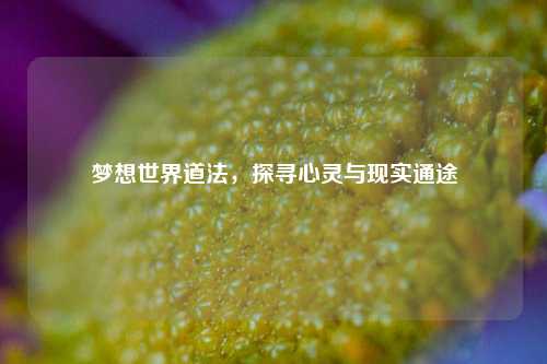 梦想世界道法,探寻心灵与现实通途