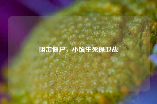 阻击僵尸，小镇生死保卫战