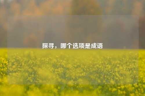 探寻,哪个选项是成语