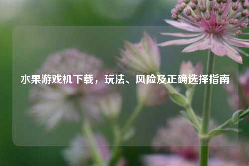 水果游戏机下载,玩法、风险及正确选择指南