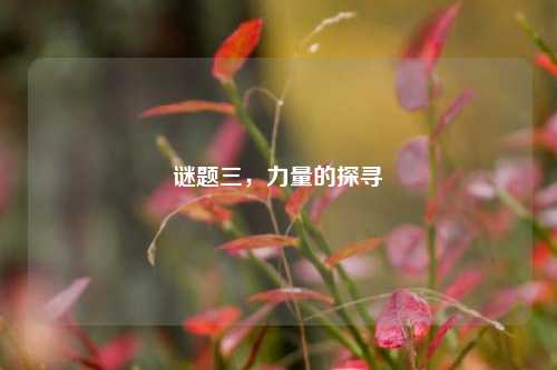 谜题三,力量的探寻