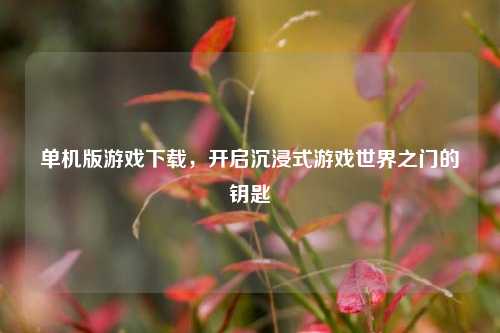 单机版游戏下载，开启沉浸式游戏世界之门的钥匙
