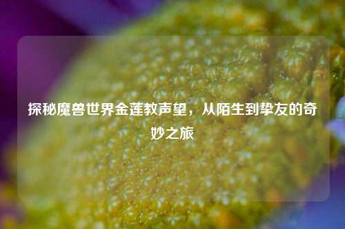 探秘魔兽世界金莲教声望,从陌生到挚友的奇妙之旅