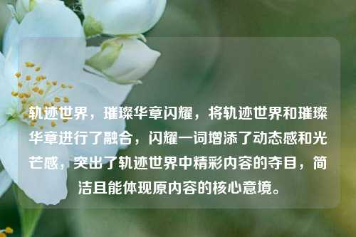 轨迹世界，璀璨华章闪耀，将轨迹世界和璀璨华章进行了融合，闪耀一词增添了动态感和光芒感，突出了轨迹世界中精彩内容的夺目，简洁且能体现原内容的核心意境。