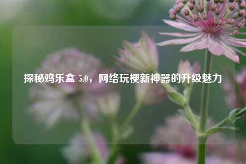探秘鸡乐盒 5.0,网络玩梗新神器的升级魅力