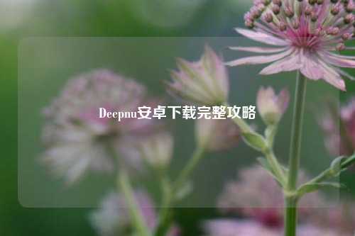 Deepnu安卓下载完整攻略