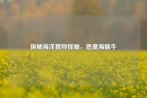 探秘海洋独特怪咖,恶臭海蜗牛