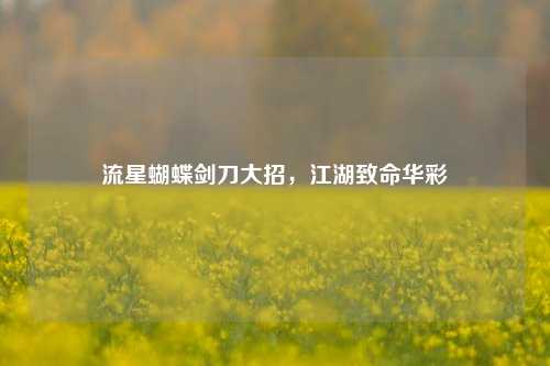 流星蝴蝶剑刀大招,江湖致命华彩