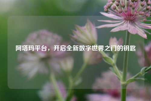 阿塔玛平台，开启全新数字世界之门的钥匙