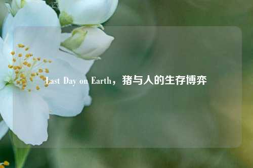 Last Day on Earth，猪与人的生存博弈