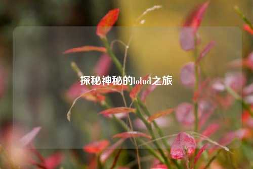 探秘神秘的lolud之旅