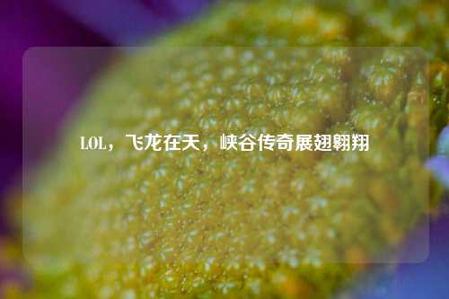 LOL，飞龙在天，峡谷传奇展翅翱翔