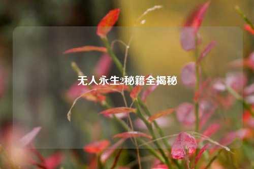 无人永生2秘籍全揭秘