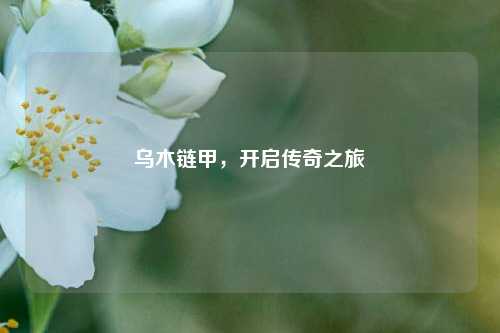 乌木链甲,开启传奇之旅