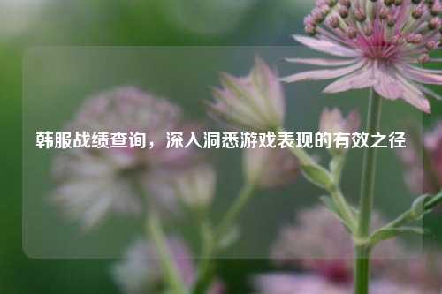 韩服战绩查询,深入洞悉游戏表现的有效之径