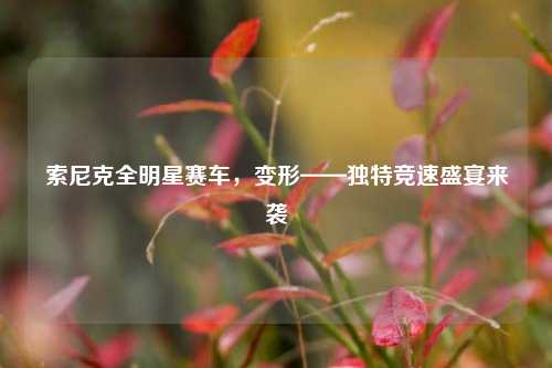 索尼克全明星赛车,变形——独特竞速盛宴来袭
