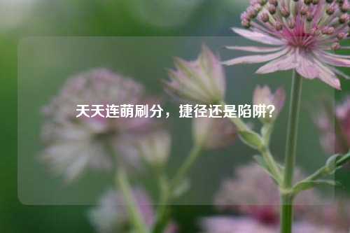 天天连萌刷分,捷径还是陷阱?