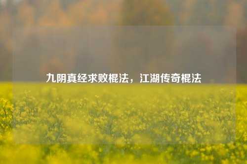 九阴真经求败棍法,江湖传奇棍法