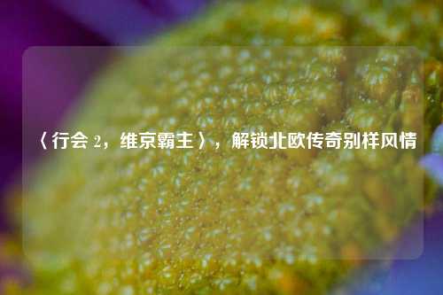 〈行会 2,维京霸主〉,解锁北欧传奇别样风情