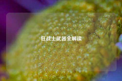 狂战士武器全解读