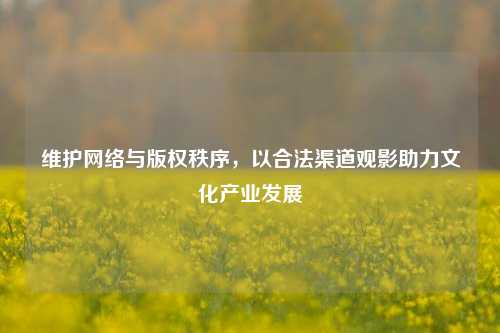 维护网络与版权秩序,以合法渠道观影助力文化产业发展