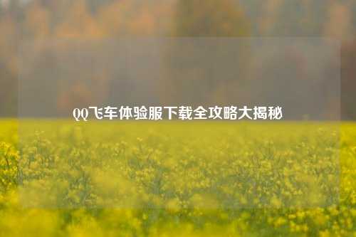 QQ飞车体验服下载全攻略大揭秘
