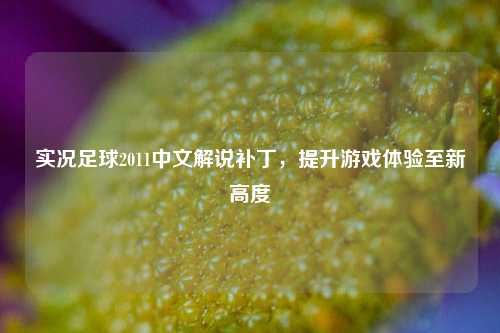 实况足球2011中文解说补丁,提升游戏体验至新高度