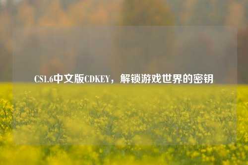 CS1.6中文版CDKEY，解锁游戏世界的密钥