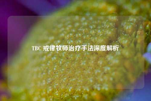 TBC 戒律牧师治疗手法深度解析