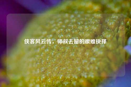 侠客风云传,师叔去留的艰难抉择