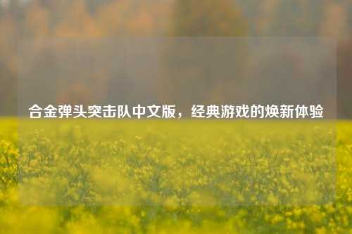 合金弹头突击队中文版,经典游戏的焕新体验